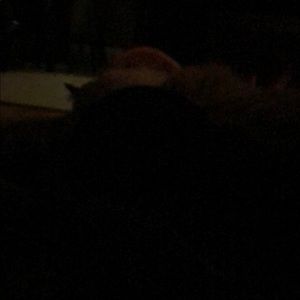 Meet your Posher, Cindy